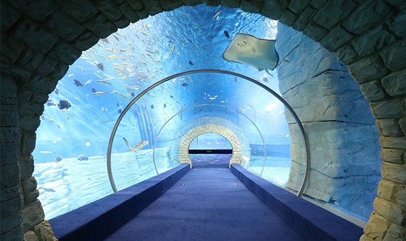 正佳极地海洋世界之海底隧道