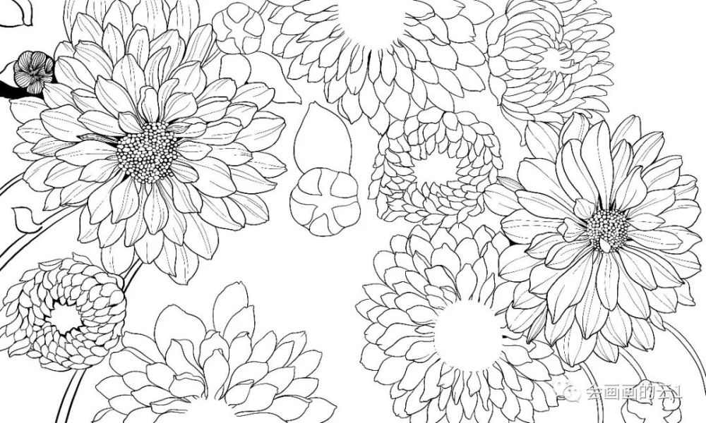 零基础线描画入门:分步骤讲解线描花卉,教程太给力了,快来临摹学习吧!