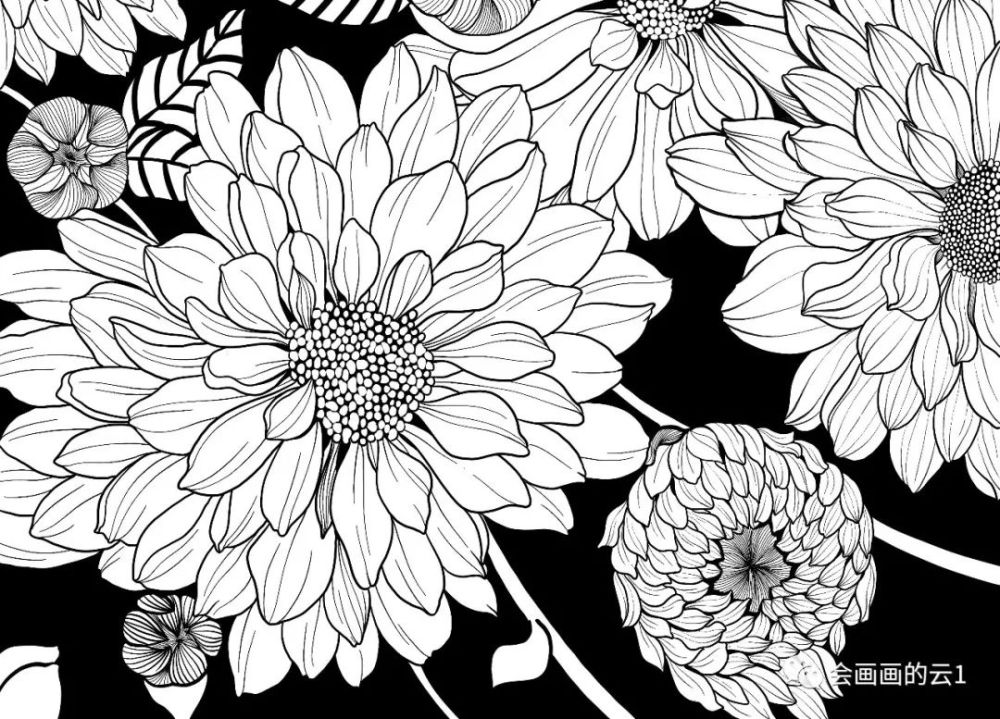 零基础线描画入门:分步骤讲解线描花卉,教程太给力了