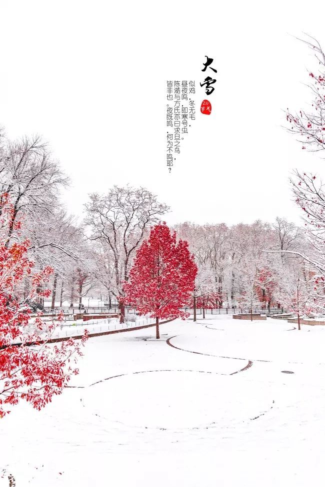 2019大雪祝福短信问候语 大雪祝福图片大全图片带字