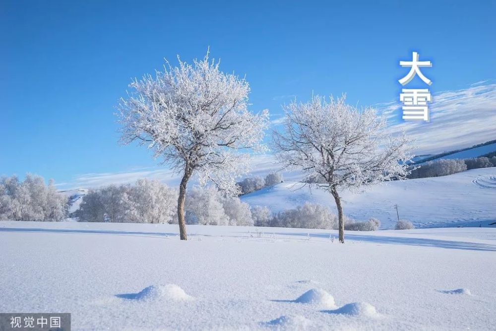 今日大雪无降雪,且以深情共白头