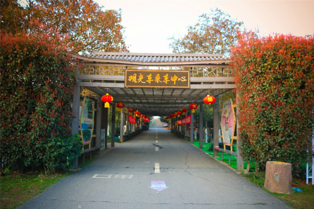南昌人均gdp最高的县区_南昌起义