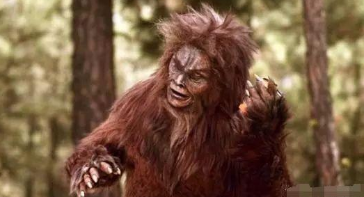 神农架多次出现"红毛怪",他是野人吗?科学家称它只是一种动物
