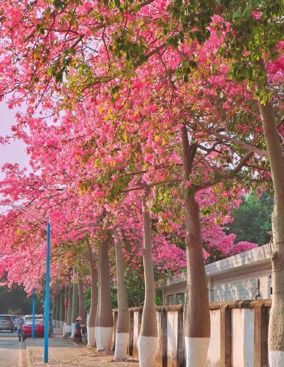 广州华南师范大学