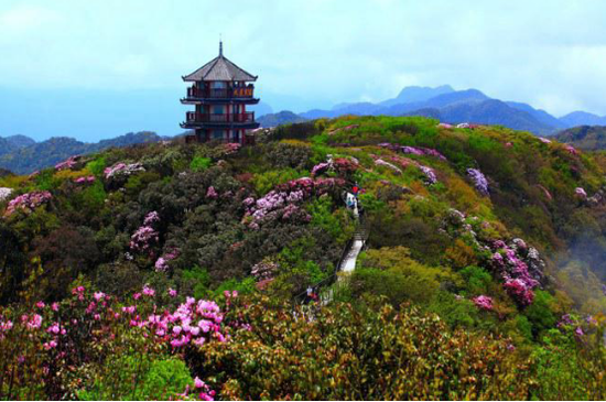 有着"金佛何崔嵬,飘渺云霞间"是对金佛山风景区最美好的写照