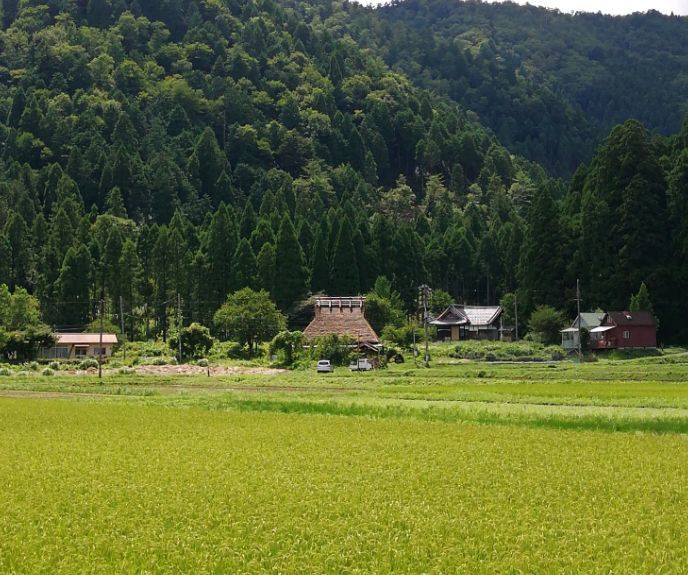 日本最美村庄,彰显了山水田园景色,被誉为"日本人心灵