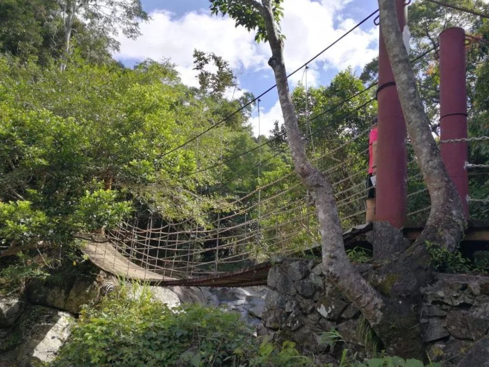 三亚五指山热带雨林风景区