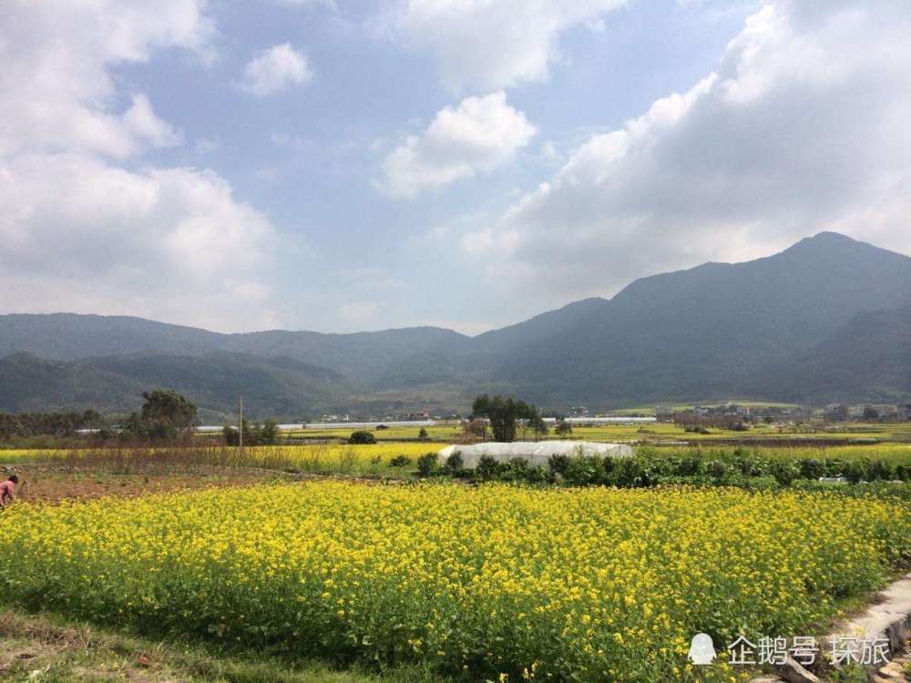 岩溪镇GDP_长泰县岩溪镇湖珠村