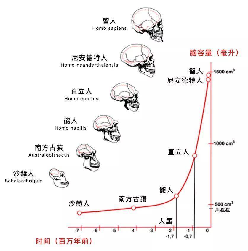 地球上有多少女性人口_地球上有多少只熊猫(2)