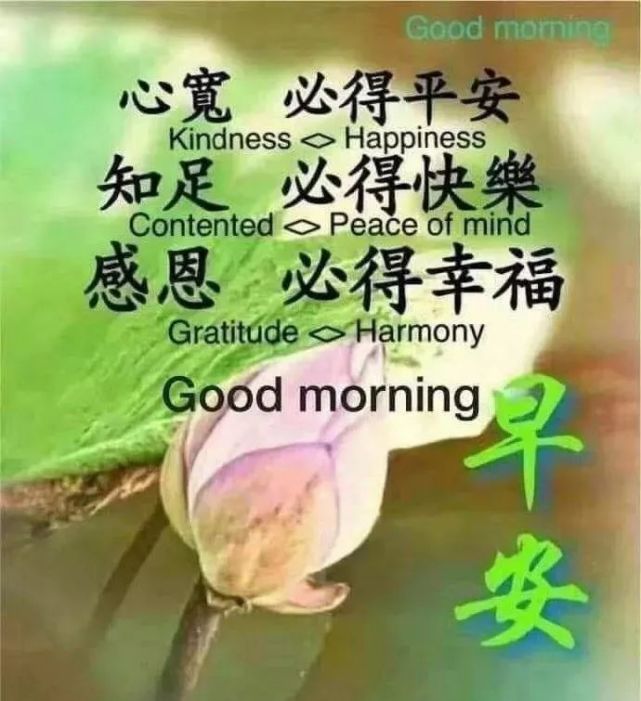 朋友圈清晨最暖心的祝福送给你,祝你开心快乐每一天