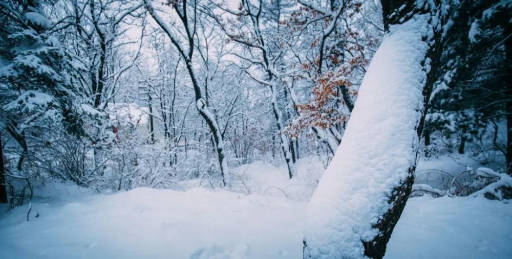 咏雪知什么成语_成语故事简笔画