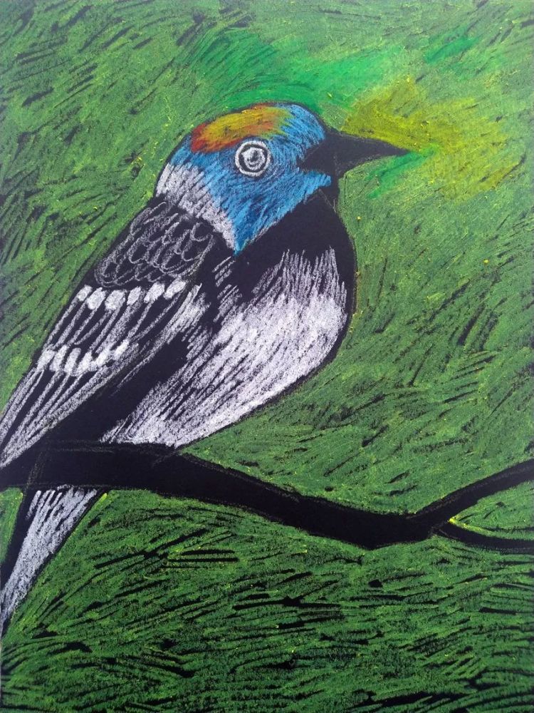 创意少儿美术课程分享:油画棒 黑卡纸=《鸟》