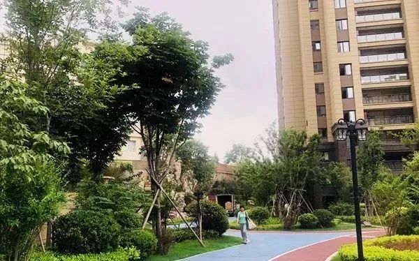 上海人均最低住房面积_上海各区人均收入排名(2)