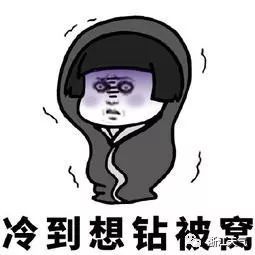 造就了哆哆嗦嗦的早晨 01 02 受晴空辐射影响 今晨的冷沁入心脾 最低