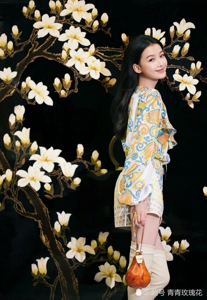 孙怡美图鉴赏
