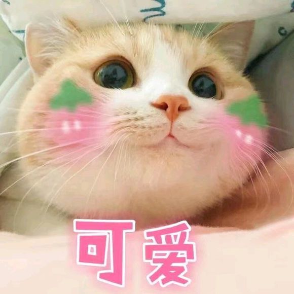 可爱小奶猫表情包:你竟然这样对我这只小猫咪,我好像不会快乐了