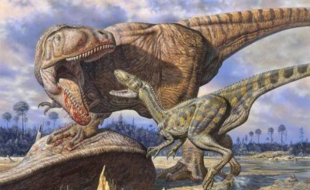 那么在那个巨型生物满地走的年代,谁才是真正的霸主呢?