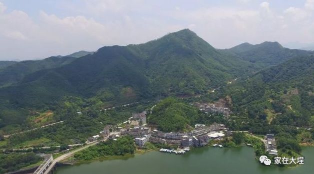 2019广东饶平各镇gdp_广东饶平通缉犯的照片(3)