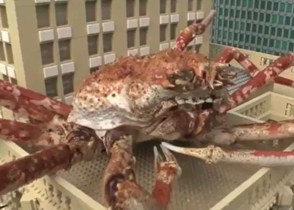 世界上"最大"的螃蟹,被称为"杀人蟹",腿长竟有4.2米!