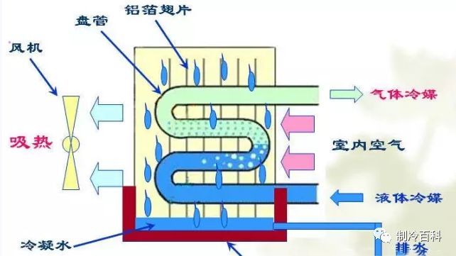 满液式蒸发器制冷剂在管外沸腾蒸发,干式则相反.