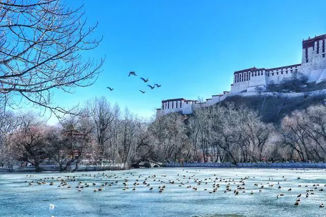 ——班婕妤《团扇歌》 淅淅风吹面,纷纷雪积身.