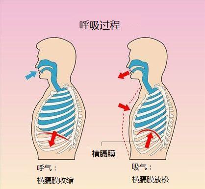 潮式呼吸 腾讯网