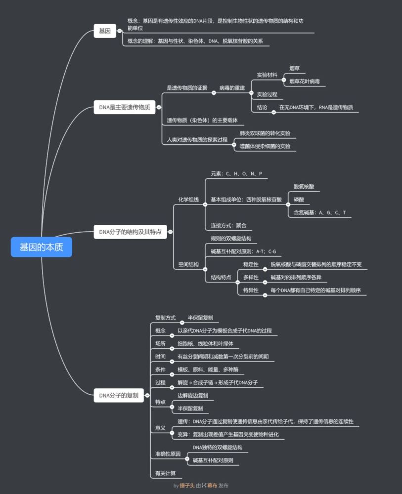 【精品干货】高中生物思维导图来袭!你的复习好助手!