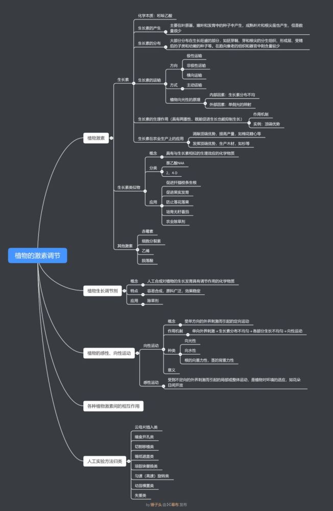 【精品干货】高中生物思维导图来袭!你的复习好助手!