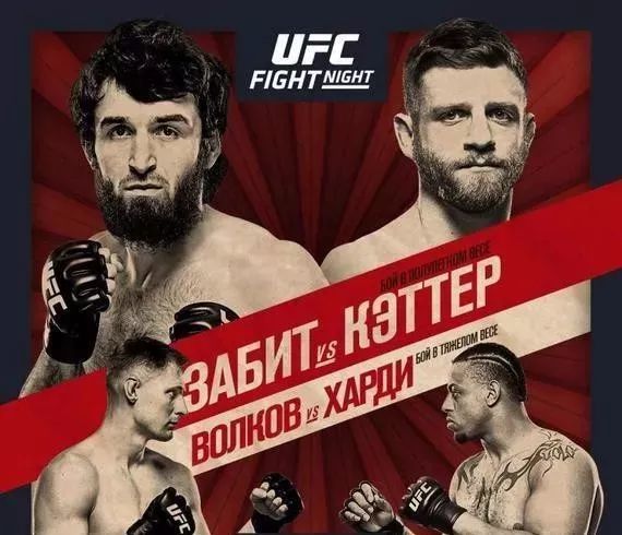 《 ufc终极格斗冠军赛 》