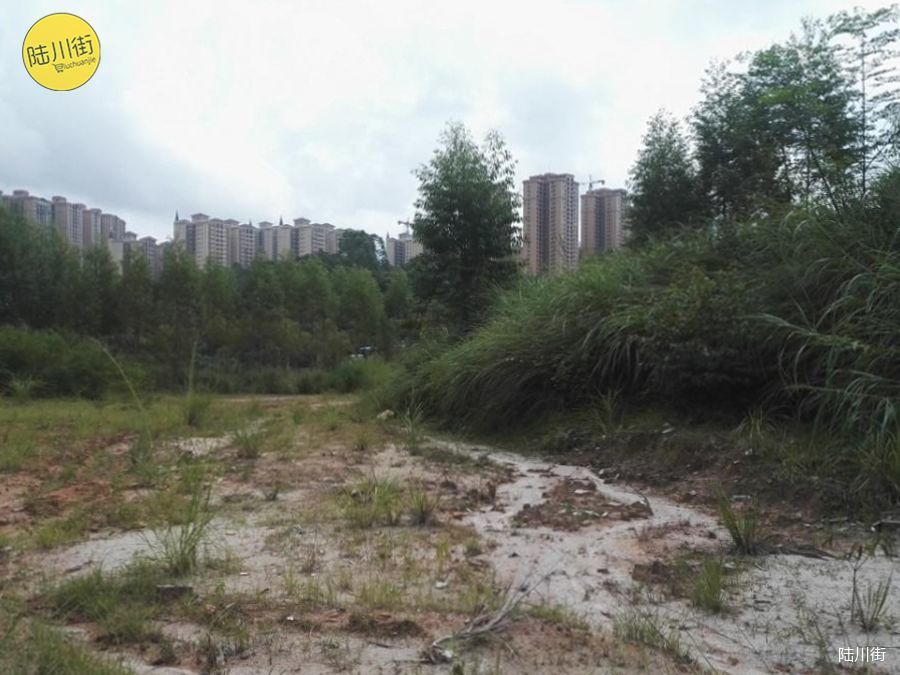 陆川城东新区一地皮公开拍卖,1892元/㎡
