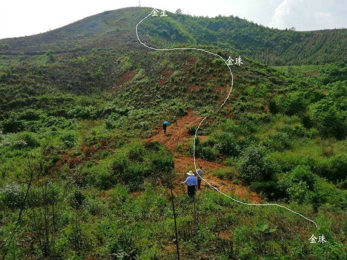 长沙风水大师湖南风水名地四金串珠龙王君植现场风水培训传授寻龙点穴