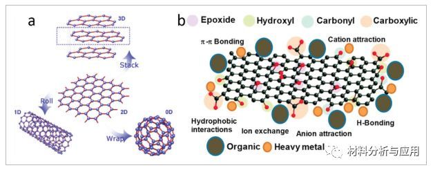 1 碳纳米管和石墨烯中水/有机物的吸附机理 石墨烯结构是碳同素异形