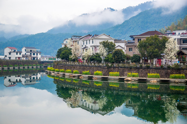 "绿水青山梦开始的地方"——杭州下姜村