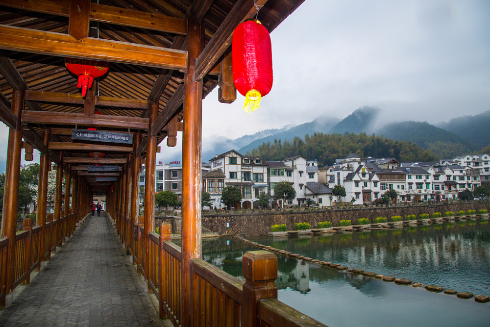 "绿水青山梦开始的地方"-杭州下姜村