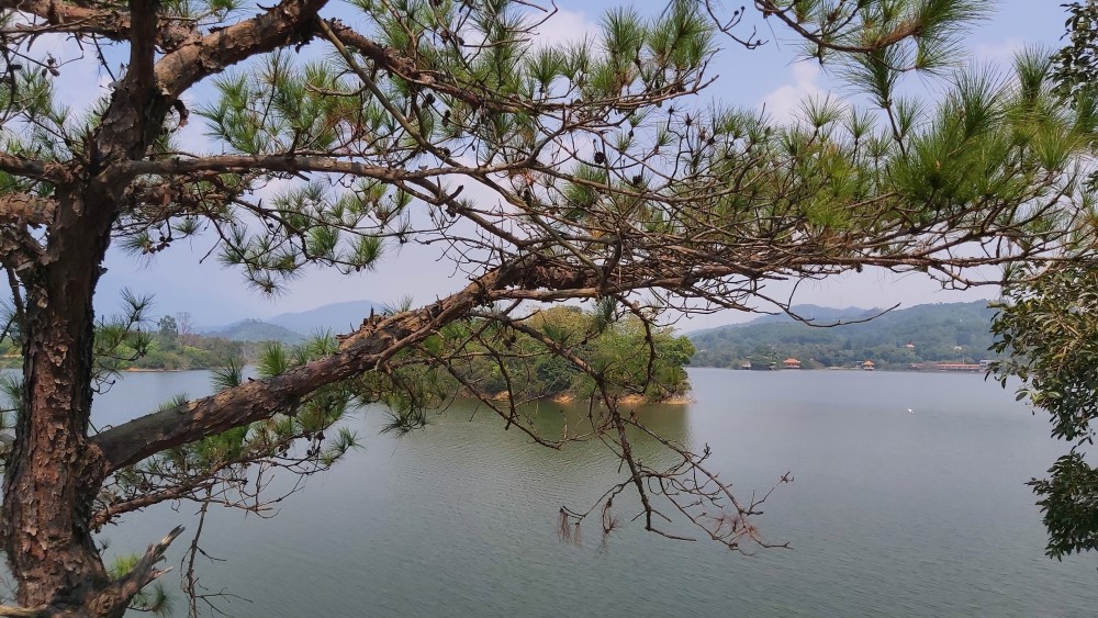 东莞清溪镇契爷石水库的风景真的美