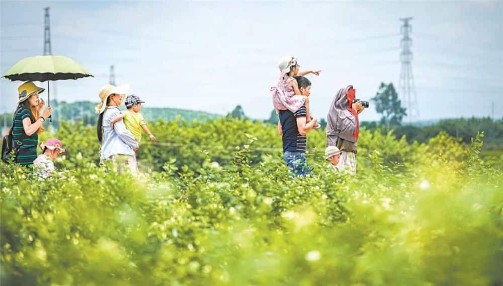 横县婚纱摄影_横县鱼生图片