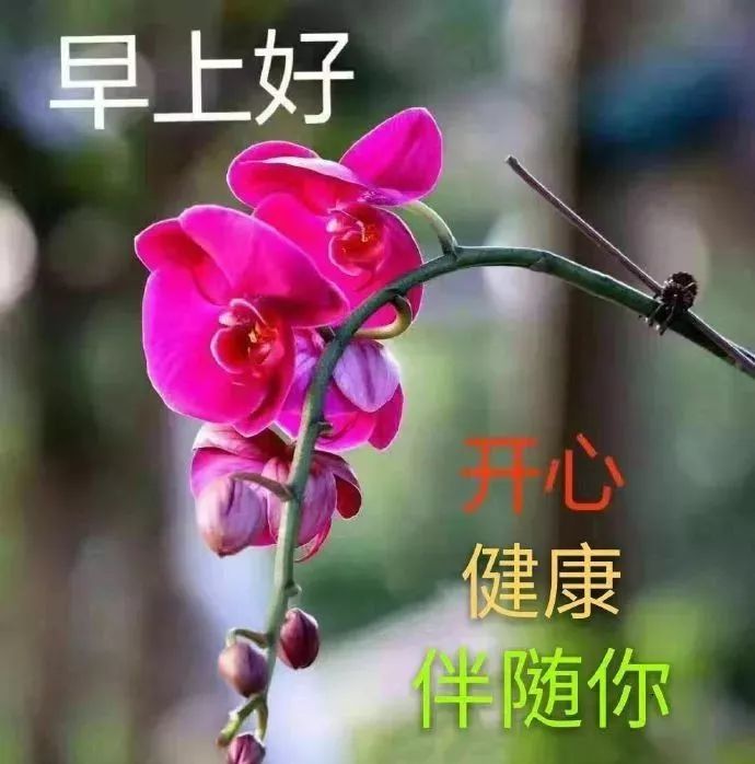 12月11日,周三早上好,天冷了,请多保重身体,愿你幸福安康快乐