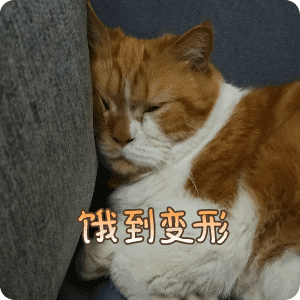 可靠 饿到变形 嗯嗯,我在认真听,虽然一个字都听不懂 啊!