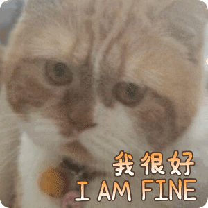 嘿千翻之千千猫表情包