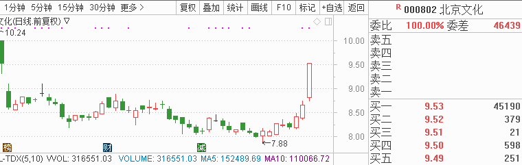 5,北京文化(000802)