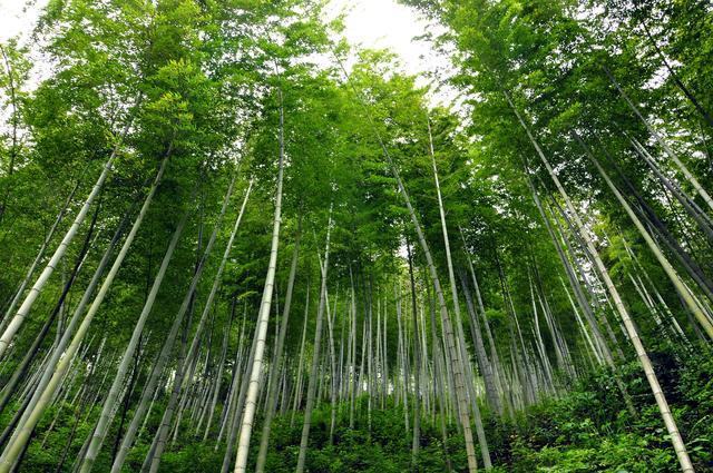 我仰慕,仰慕大海的蔚蓝 太阳从居住的地方慢慢升起 铿锵的澎湃之声