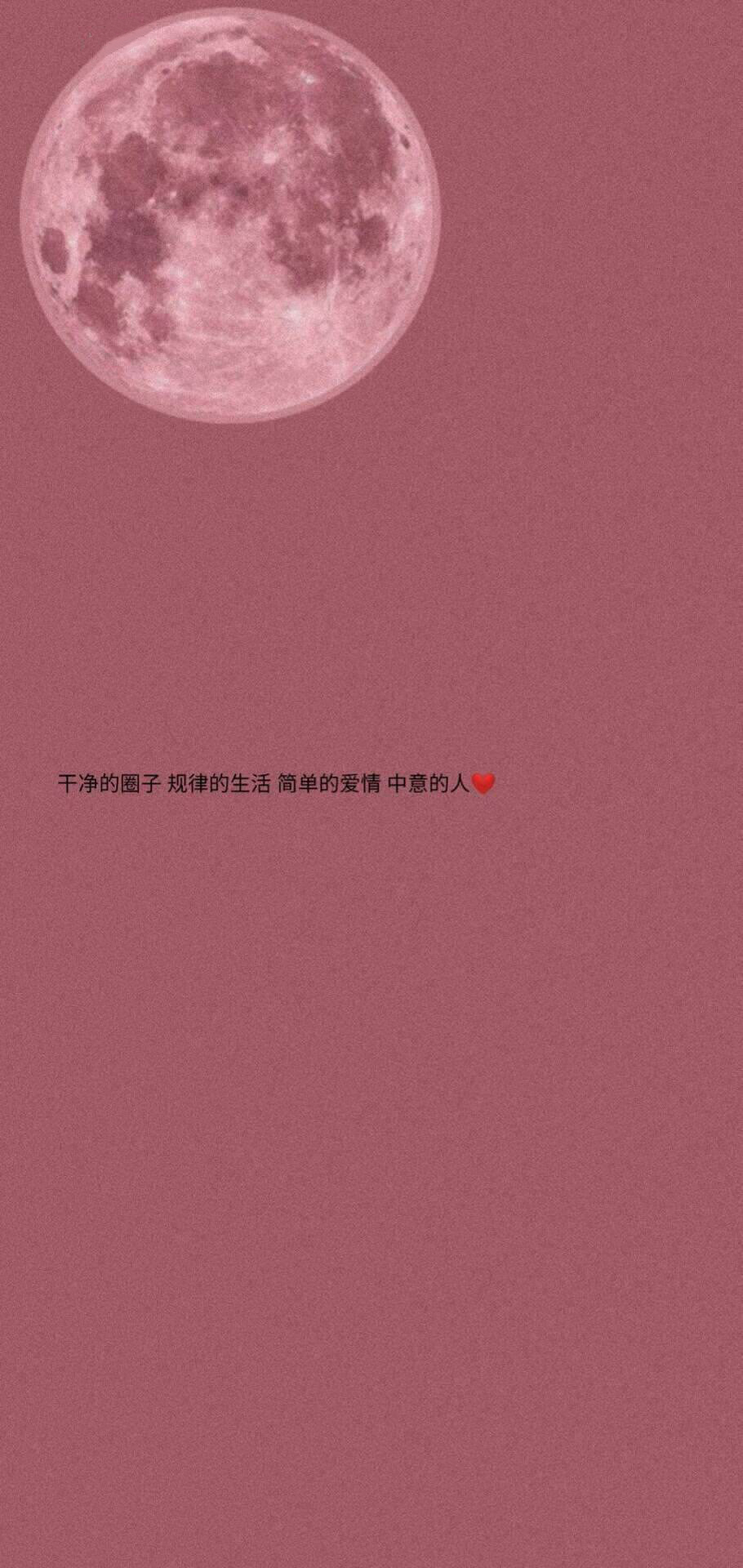 简约系背景图:你在读这句话的时候,最起码这几秒属于我!