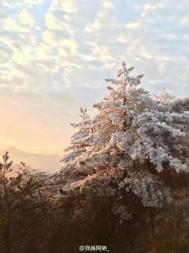 在龙岩的双髻山,周宁仙凤山,武夷山,三明泰宁峨眉峰等等也都是雾凇