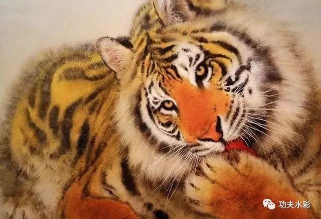 他笔下的水彩画小动物栩栩如生
