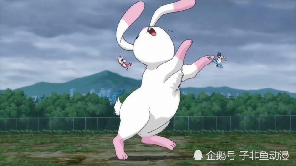 《狐妖小红娘》尾生篇:涂山苏苏的兔子和月啼暇的驴都