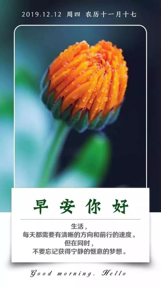 1212双十二早安配图日签带字 星期四阳光励志带文字的