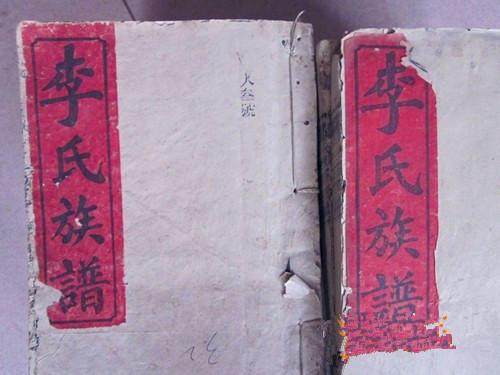 李姓在中国有多少人口_李姓微信头像(2)