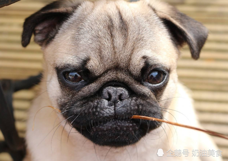 搞笑段子:有一司机捡到测速摄像头,警察紧追其后,他却