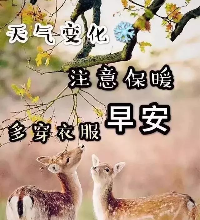 12月13日早上好问候大家最棒的祝福语录 早上好温馨祝福句子送给朋友