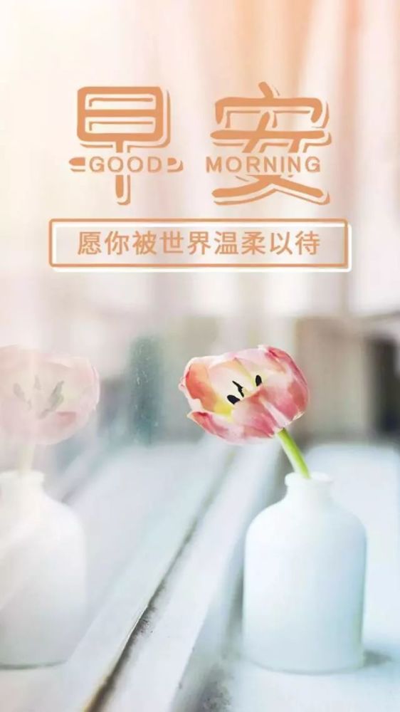12.13周五早安心语励志图片文字 早上好正能量阳光问候语句说说